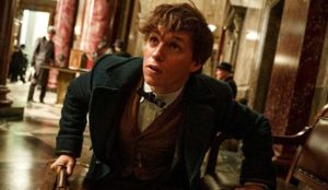 Fantastic Beasts and Where to find them