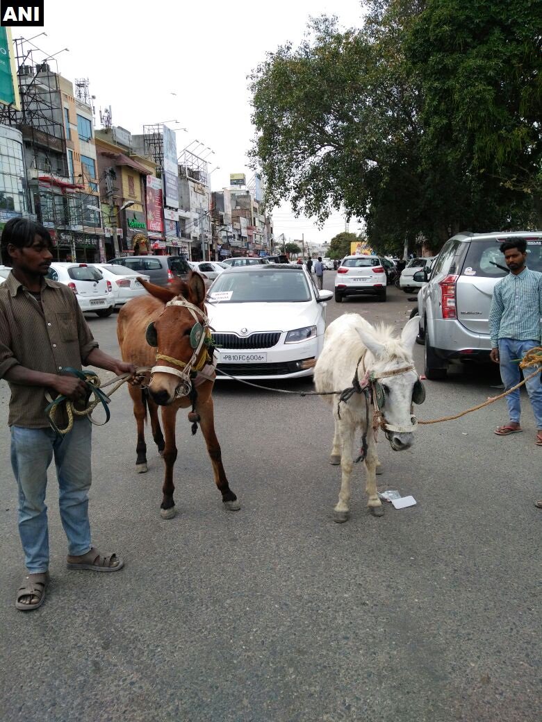 skoda-car-owner-ludhiana1