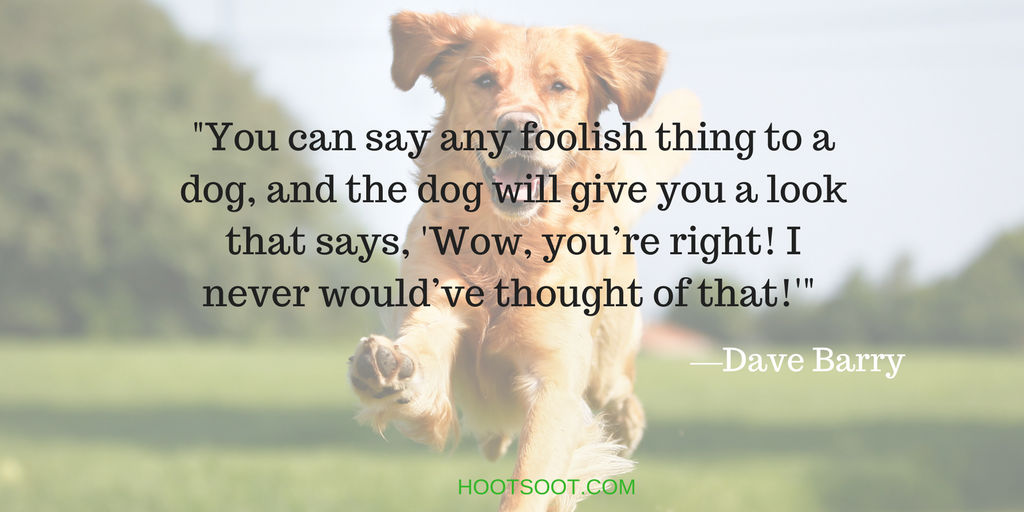 DOG-QUOTES-1