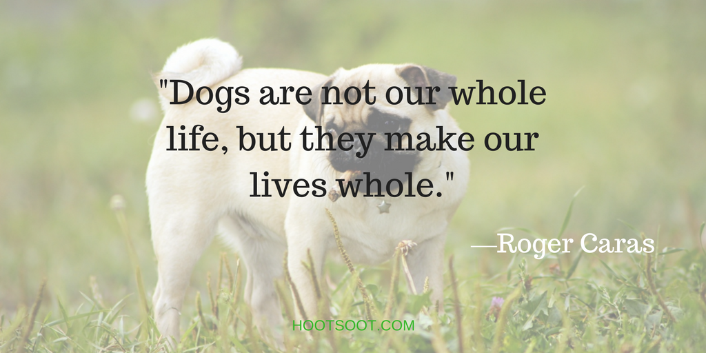 DOG-QUOTES-2