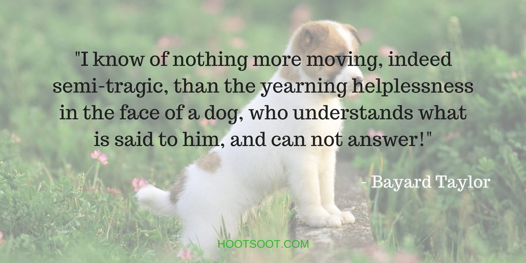 DOG-QUOTES-3