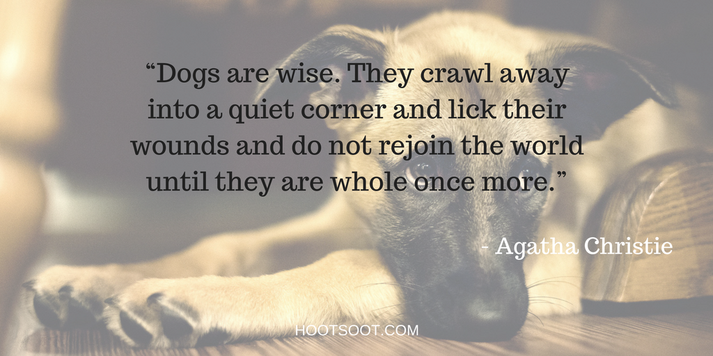 DOG-QUOTES-4.1