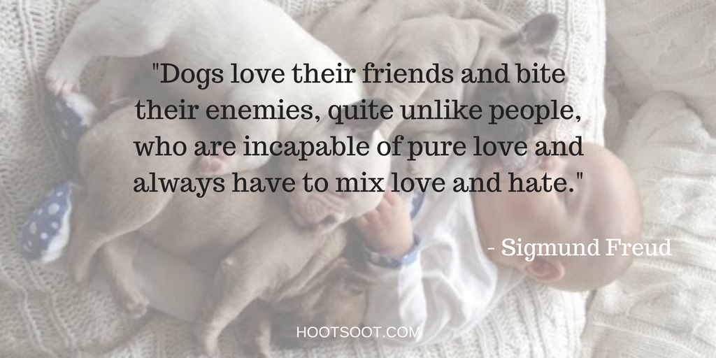 DOG-QUOTES-5