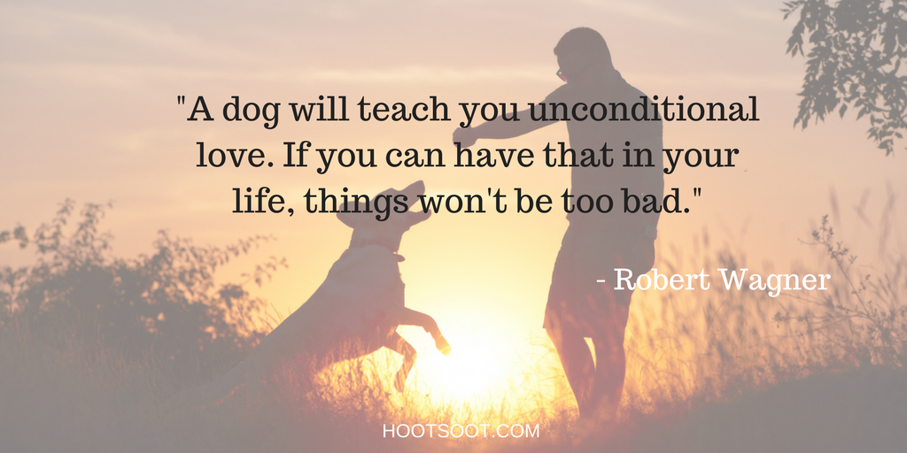 DOG-QUOTES-9-ROBERT-WAGNER