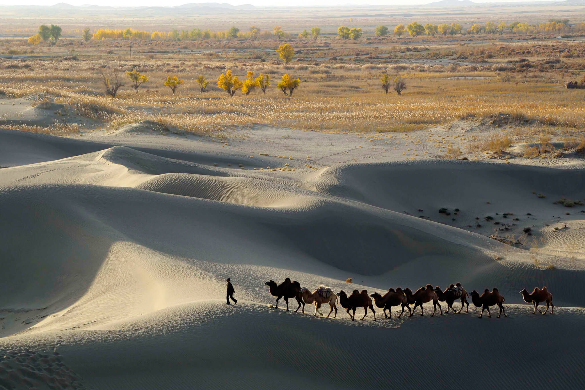 Пустыня гоби в китае фото