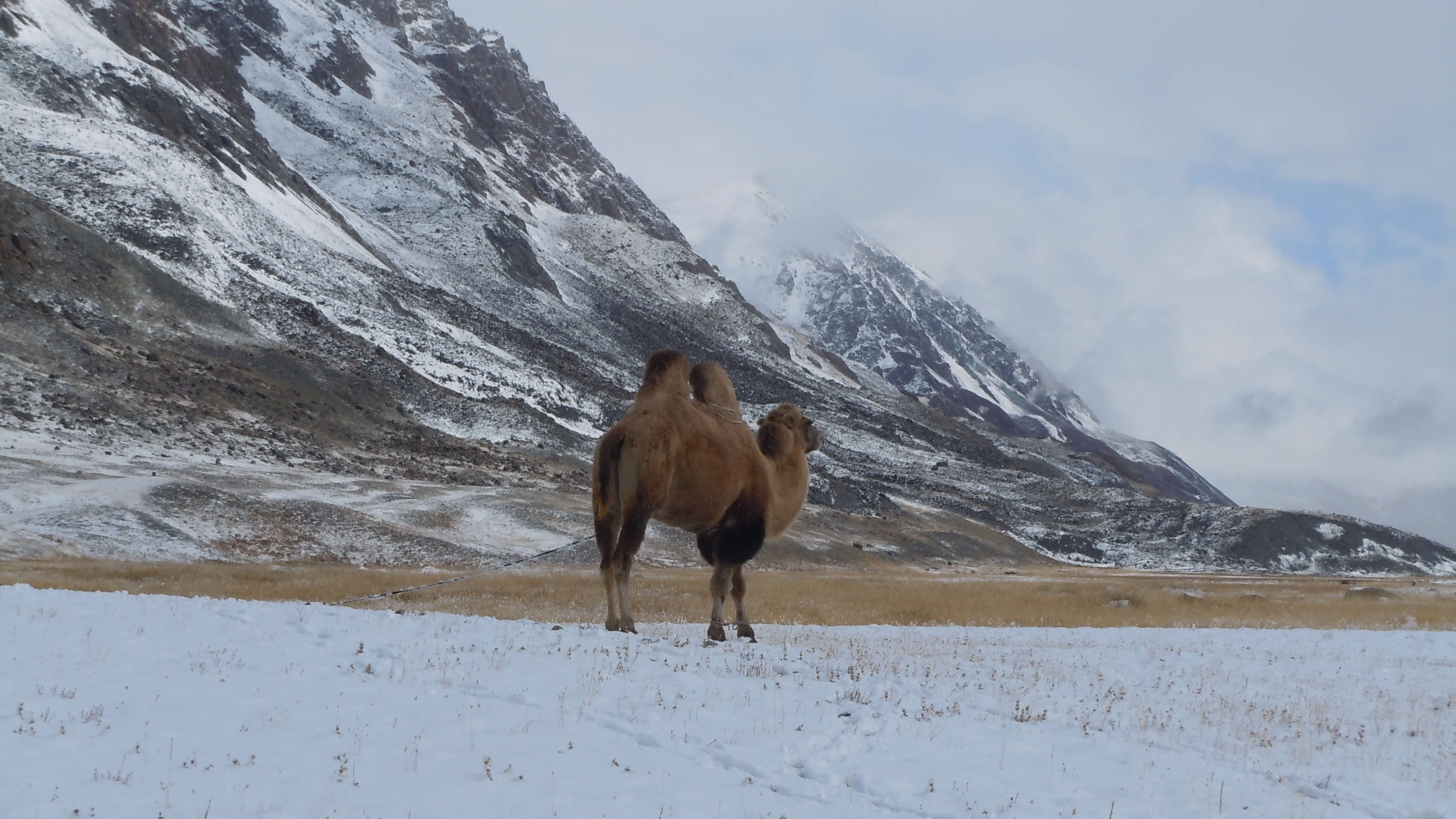 10 Coldest Deserts Of The World Ranked By Temperature 