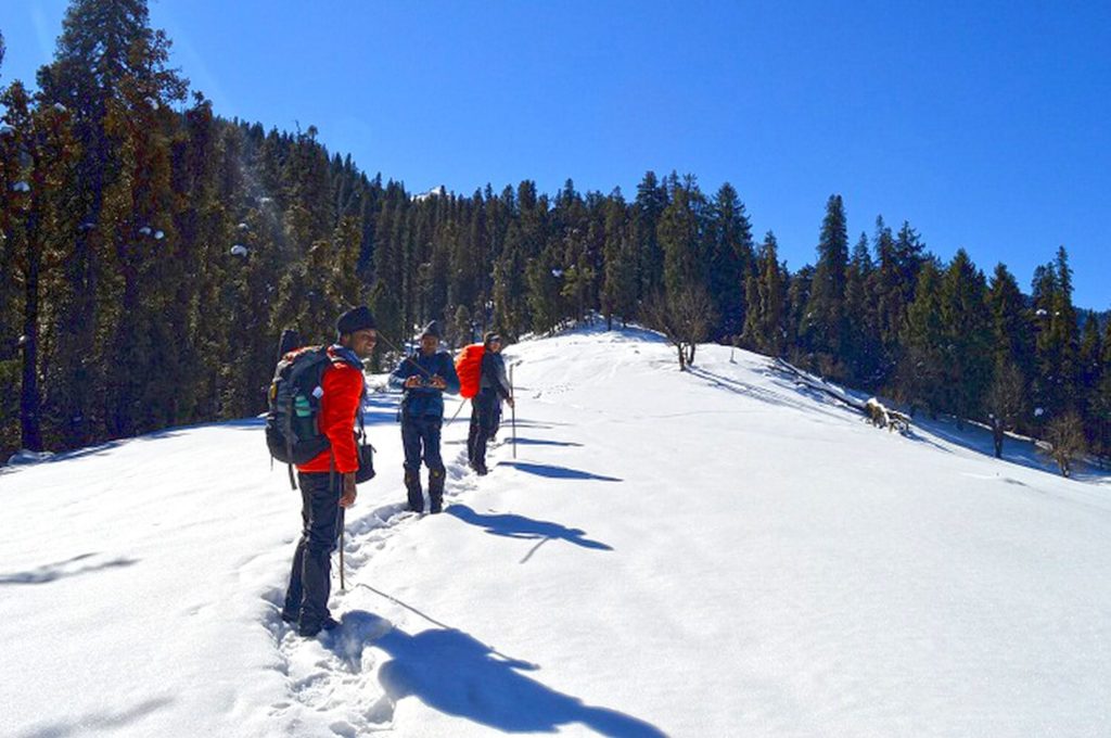 Kedarkantha Trek