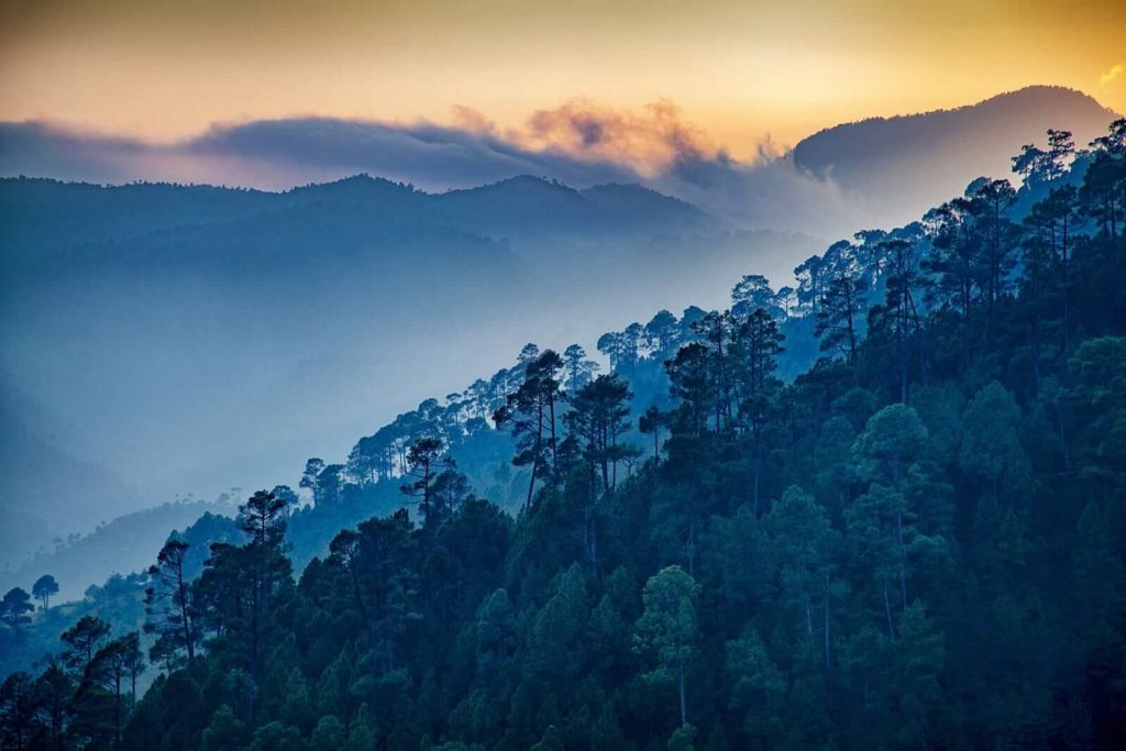 Ranikhet